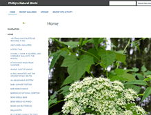 Tablet Screenshot of phillipsnaturalworld.com